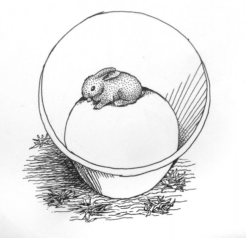 bunny-in-bucket Drawing of a bunny in a bucket