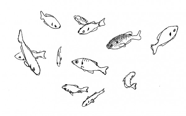 Sketch of little fishes