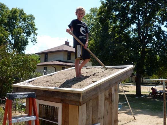 Edward raking the green roof