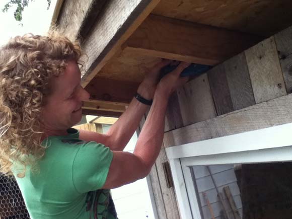 Nikole stapling chicken wire